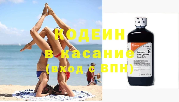 индика Лихославль