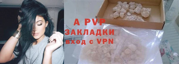 индика Лихославль
