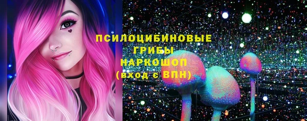 индика Лихославль
