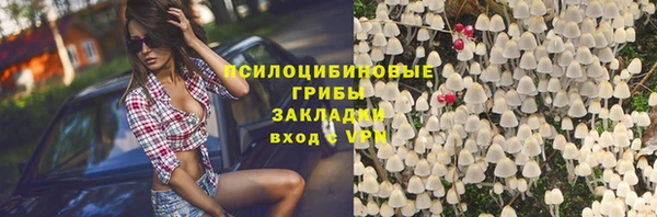 индика Лихославль
