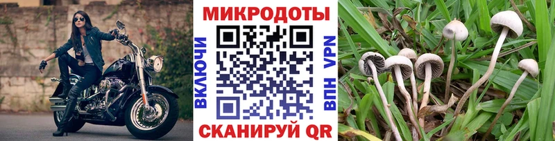наркошоп  darknet какой сайт  Псилоцибиновые грибы мухоморы  Ленинградская 