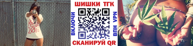 купить   Ленинградская  Канабис гибрид 